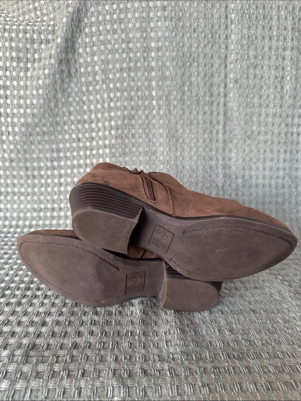 Style & Co. elevate your